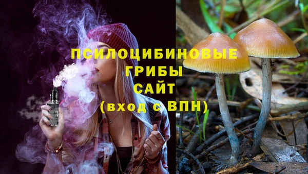 меф Дмитровск