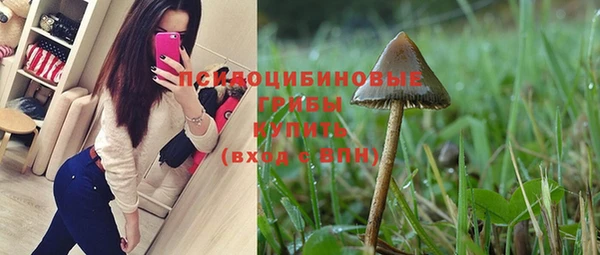 экстази Дмитров
